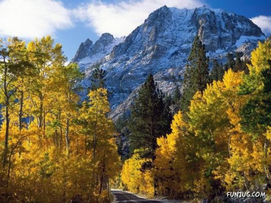 BeautifuL Nature Photography By Gordon McBryde