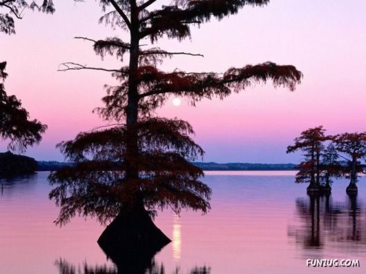 BeautifuL Nature Photography By Gordon McBryde