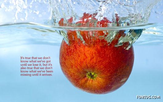 Click to Enlarge - Nice Quotes Nice Wallpapers