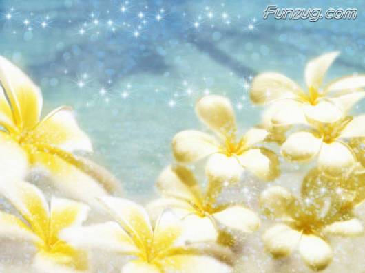 Click to Enlarge - Wallpapers with a Romatic Feeling Specially For You