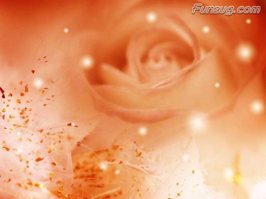 Click to Enlarge - Wallpapers with a Romatic Feeling Specially For You