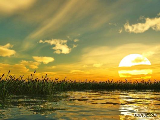 Click to Enlarge - Creative & Artistic Wallpapers