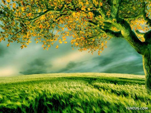 Click to Enlarge - Creative & Artistic Wallpapers