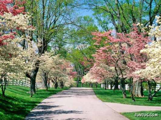 Click to Enlarge - Creative & Artistic Wallpapers