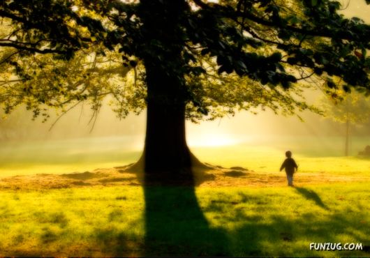 Click to Enlarge - Exclusive Wide Planet Wallpapers