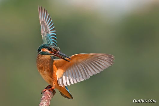 Click to Enlarge - Exclusive Wide Planet Wallpapers