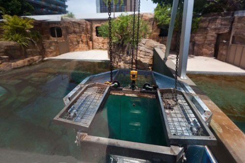 Crazy Jumping Crocodiles In Adelaide River