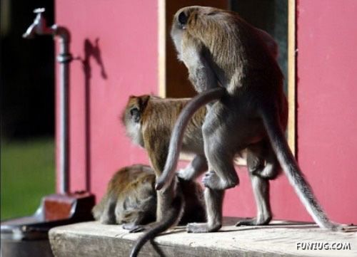 Freaks of The Nature