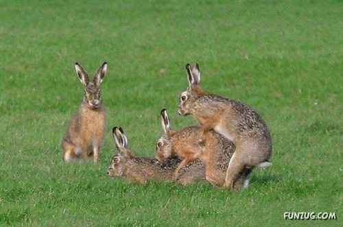 Freaks of The Nature