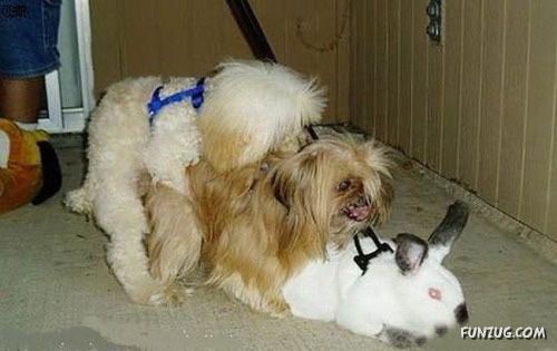 Freaks of The Nature