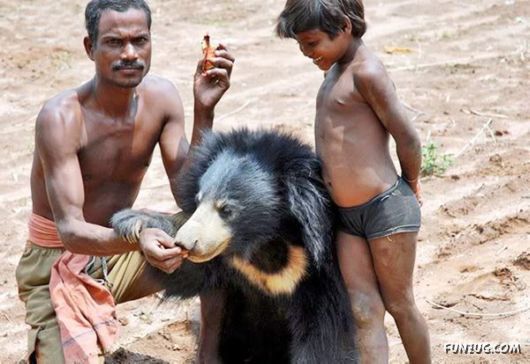 Pets Who are Not So Common