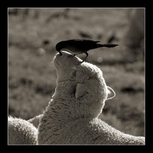 One in A Billion Photos