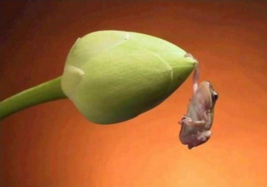 One in A Billion Photos