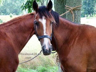 One in A Billion Photos