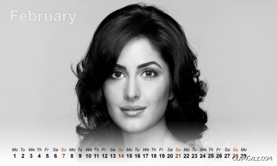 Katrina Kaif Calendar 2016