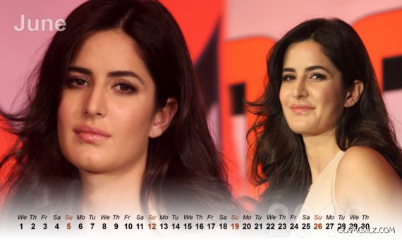 Katrina Kaif Calendar 2016