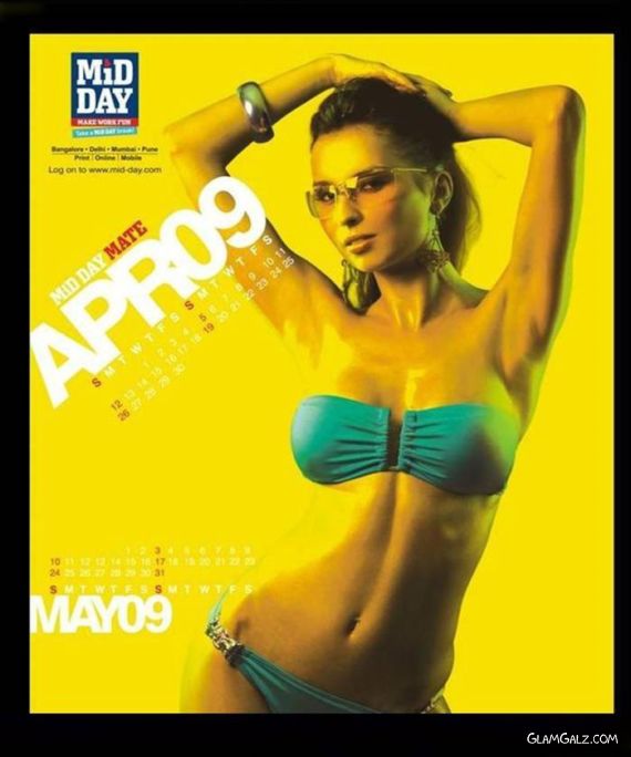 Click to Enlarge - Mid-Day Desktop Calendar 2009