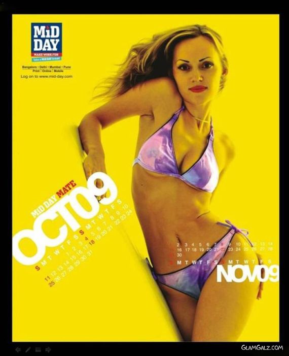 Click to Enlarge - Mid-Day Desktop Calendar 2009