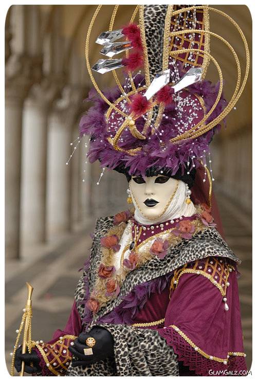 Amazing Carnival Costume Venice