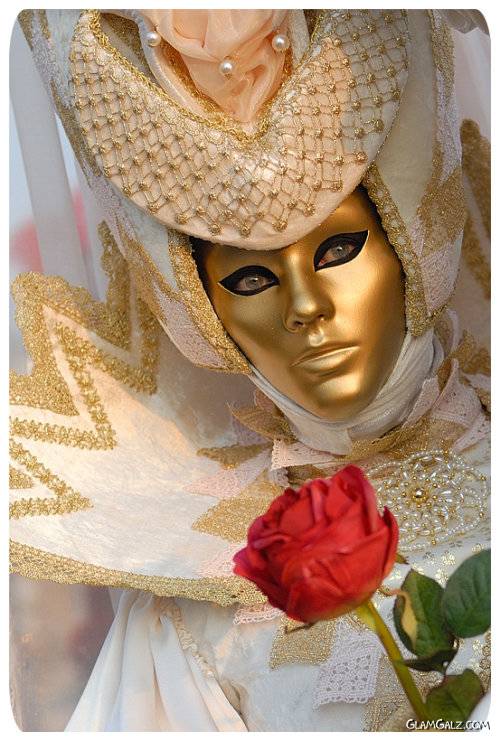 Amazing Carnival Costume Venice