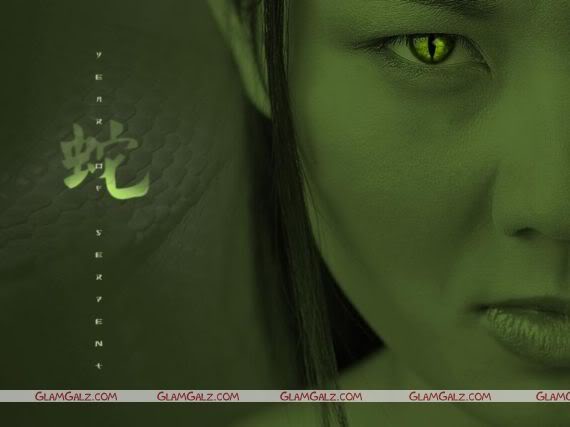 Creative Eyes Collection