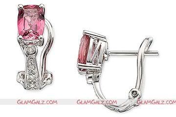 Elegent Earrings