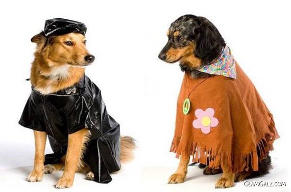 Dressed Up Cutie Beauties