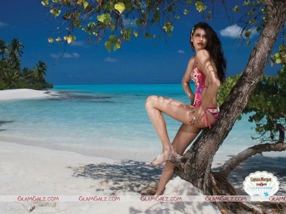 Indiatimes 2008 Calender