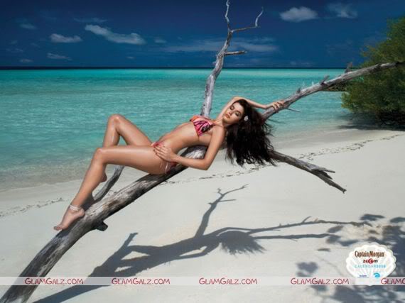 Indiatimes 2008 Calender