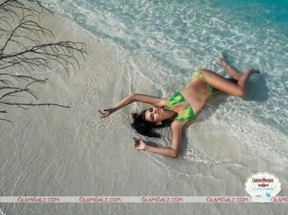 Indiatimes 2008 Calender