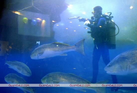 Underwater Olympic Games in Qingdao China