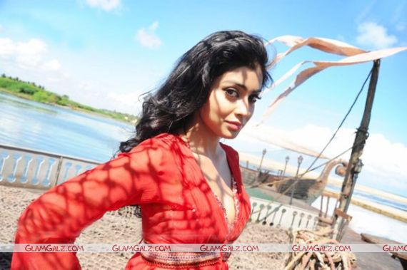 Beautiful Shriya Saran