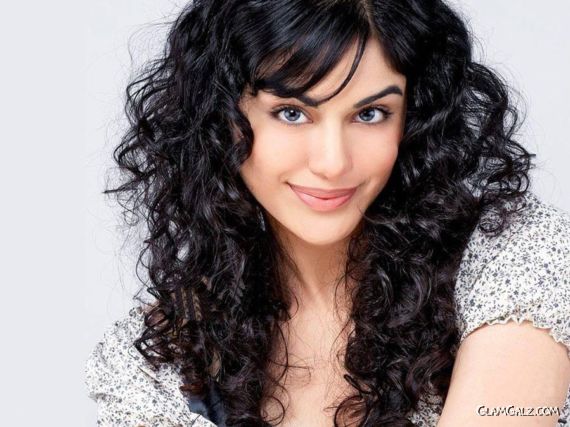 Click to Enlarge - Pretty Blue Eyed Adah Sharma Walls